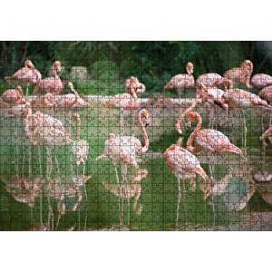 Durgun Gölde Beslenen Flamingolar Puzzle Yapboz Mdf Ahşap 500 Parça