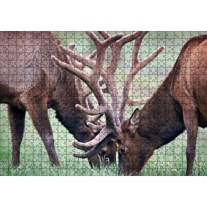 Yeşil Çayırda Otlayan Boynuzlu Geyikler Puzzle Yapboz Mdf Ahşap 500 Parça