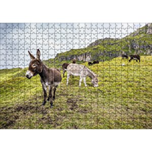 Yeşil Tepelerde Otlayan Eşekler Puzzle Yapboz Mdf Ahşap 500 Parça