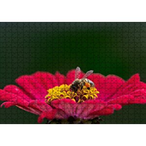 Kırmızı Çiçekten Polen Toplayan Balarısı Puzzle Yapboz Mdf Ahşap 500 Parça