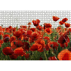 Çayırda Kırmızı Gelincikler Puzzle Yapboz Mdf Ahşap 1000 Parça