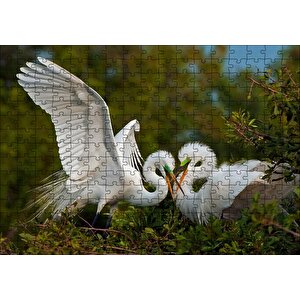 Birbirine Kur Yapan Ak Balıkçıl Kuşları Puzzle Yapboz Mdf Ahşap 255 Parça