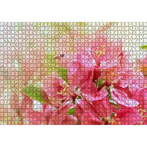 Pembe Elma Çiçeği Görseli Puzzle Yapboz Mdf Ahşap 1000 Parça