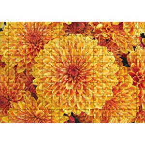 Turuncu Yıldız Çiçekleri Puzzle Yapboz Mdf Ahşap 255 Parça