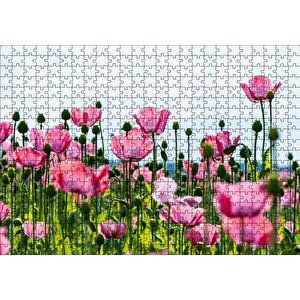 Çayırda Pembe Gelincikler Ve Gökyüzü Puzzle Yapboz Mdf Ahşap 500 Parça