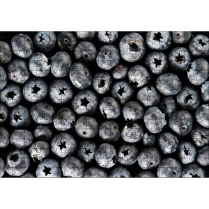 Yabanmersini Meyveleri Yanaşık Düzen Puzzle Yapboz Mdf Ahşap 255 Parça