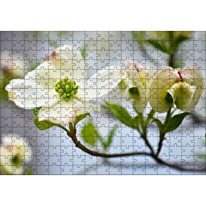 Cakapuzzle Dallar Beyaz Çiçekler Yeşil Tohumlar Yakın Çekim Puzzle Yapboz Mdf Ahşap