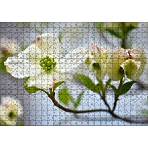 Dallar Beyaz Çiçekler Yeşil Tohumlar Yakın Çekim Puzzle Yapboz Mdf Ahşap 500 Parça
