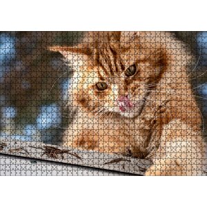Yalanan Sarı Sevimli Kedi Puzzle Yapboz Mdf Ahşap 1000 Parça