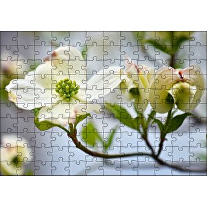 Dallar Beyaz Çiçekler Yeşil Tohumlar Yakın Çekim Puzzle Yapboz Mdf Ahşap 120 Parça