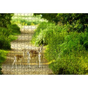 Orman Patikasında Anne Ceylan Ve Yavruları Puzzle Yapboz Mdf Ahşap 500 Parça