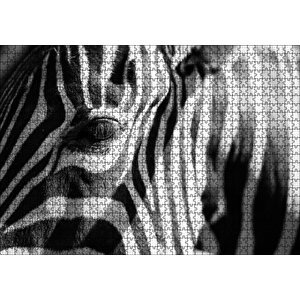 Zebra Yakın Çekim Siyah Beyaz Puzzle Yapboz Mdf Ahşap 1000 Parça