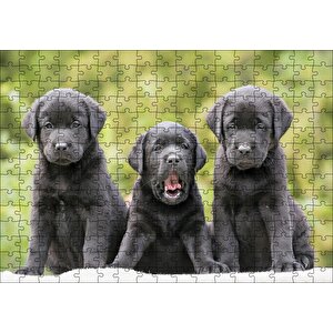 Üç Sevimli Siyah Yavru Köpek Puzzle Yapboz Mdf Ahşap 255 Parça