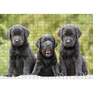 Üç Sevimli Siyah Yavru Köpek Puzzle Yapboz Mdf Ahşap 500 Parça
