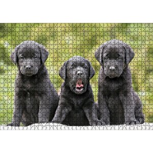 Üç Sevimli Siyah Yavru Köpek Puzzle Yapboz Mdf Ahşap 1000 Parça