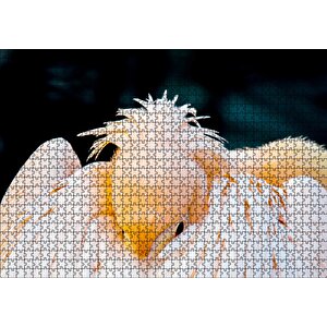 Kanatları Arasına Gömülmüş Pelikan Yakın Çekim Puzzle Yapboz Mdf Ahşap 1000 Parça