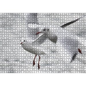 İki Martı Yakın Çekim Flu Deniz Arka Plan Puzzle Yapboz Mdf Ahşap 1000 Parça