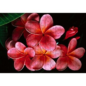 Büyük Kırmızı Yapraklı Plumeria Çiçeği Puzzle Yapboz Mdf Ahşap 255 Parça