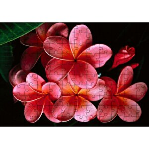 Büyük Kırmızı Yapraklı Plumeria Çiçeği Puzzle Yapboz Mdf Ahşap 120 Parça