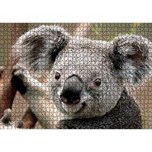 Ağaçtaki Sevimli Koala Yakın Çekim Puzzle Yapboz Mdf Ahşap 1000 Parça