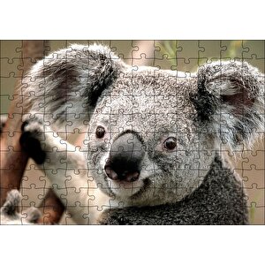 Ağaçtaki Sevimli Koala Yakın Çekim Puzzle Yapboz Mdf Ahşap 120 Parça