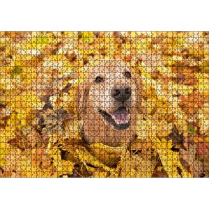 Cakapuzzle Sonbahar Yaprakları Üzerindeki Kahverengi Köpek Puzzle Yapboz Mdf Ahşap