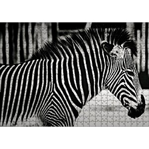 Benzersiz Deseniyle Zebra Yakın Çekim Puzzle Yapboz Mdf Ahşap 500 Parça