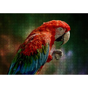 Kırmızı Mavi Papağan Ve Pençesi Flu Arka Plan Puzzle Yapboz Mdf Ahşap 500 Parça