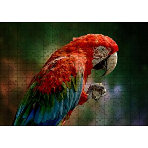 Kırmızı Mavi Papağan Ve Pençesi Flu Arka Plan Puzzle Yapboz Mdf Ahşap 255 Parça