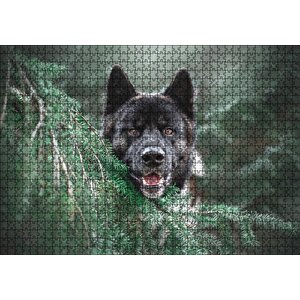 Akita Kahverengi Siyah Köpek Ve Çam Yaprakları Puzzle Yapboz Mdf Ahşap 1000 Parça