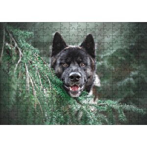 Akita Kahverengi Siyah Köpek Ve Çam Yaprakları Puzzle Yapboz Mdf Ahşap 255 Parça