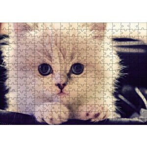 Beyaz Kedi Puzzle Yapboz Mdf Ahşap 255 Parça