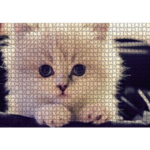 Beyaz Kedi Puzzle Yapboz Mdf Ahşap 1000 Parça