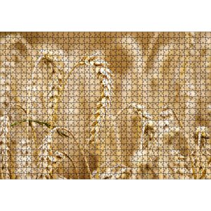 Eğilmiş Buğday Başakları Yakın Çekim Puzzle Yapboz Mdf Ahşap 1000 Parça