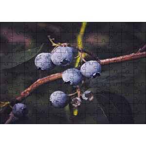 Dalda Yabanmersini Meyveleri Puzzle Yapboz Mdf Ahşap 120 Parça