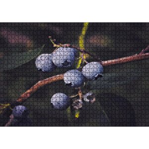 Dalda Yabanmersini Meyveleri Puzzle Yapboz Mdf Ahşap 1000 Parça