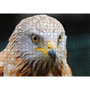 Şahin Keskin Gözler Yakın Çekim Puzzle Yapboz Mdf Ahşap 500 Parça