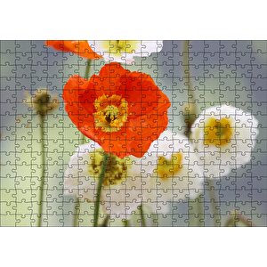 Kırmızı Ve Beyaz Gelincikler Yakın Çekim Puzzle Yapboz Mdf Ahşap 255 Parça