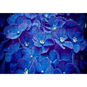 Mavi Taç Yapraklı Çiçekler Ve Beyaz Tohumları Puzzle Yapboz Mdf Ahşap 500 Parça