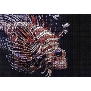 Aslan Balığı Yakın Çekim Karanlık Arka Plan Puzzle Yapboz Mdf Ahşap 1000 Parça