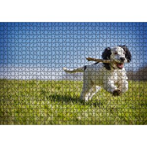 Çayırda Oyun Oynayan Sevimli Köpek Puzzle Yapboz Mdf Ahşap 1000 Parça