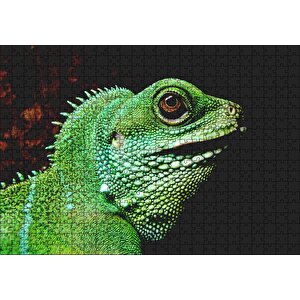 Parlak Yeşil Renkleriyle Kertenkele Puzzle Yapboz Mdf Ahşap 500 Parça