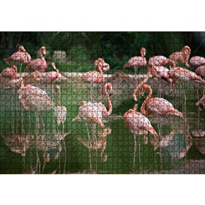 Gölde Flamingolar Puzzle Yapboz Mdf Ahşap 1000 Parça
