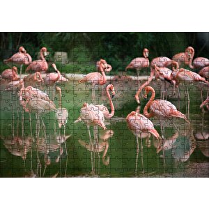 Gölde Flamingolar Puzzle Yapboz Mdf Ahşap 255 Parça