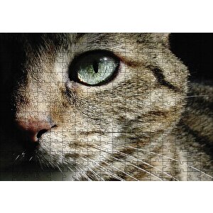 Yeşil Gözlü Kedi Puzzle Yapboz Mdf Ahşap 255 Parça