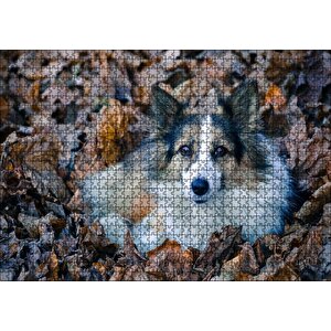 Kuru Yapraklar Arasındaki Sevimli Köpek Puzzle Yapboz Mdf Ahşap 1000 Parça