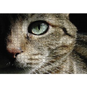 Yeşil Gözlü Kedi Puzzle Yapboz Mdf Ahşap 500 Parça