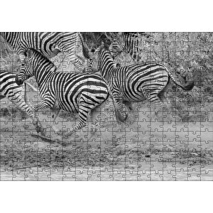 Su Kenarında Kaçan Zebralar Siyah Beyaz Puzzle Yapboz Mdf Ahşap 255 Parça
