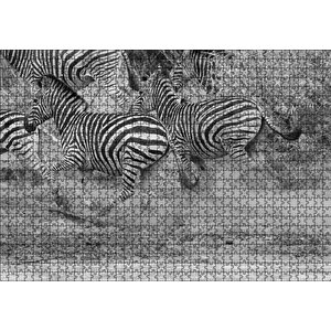 Su Kenarında Kaçan Zebralar Siyah Beyaz Puzzle Yapboz Mdf Ahşap 1000 Parça