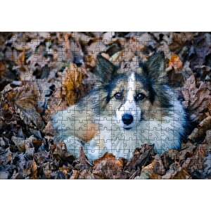 Kuru Yapraklar Arasındaki Sevimli Köpek Puzzle Yapboz Mdf Ahşap 255 Parça